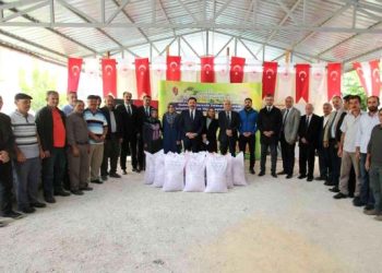 Amasya ekonomi haberi | Amasya çiftçisine 169 ton yem bitkisi tohumu desteği
