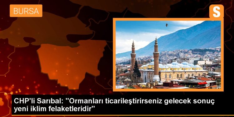 CHP’li Sarıbal: “Ormanları ticarileştirirseniz gelecek sonuç yeni iklim felaketleridir”