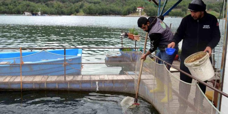 Deprem balık ihracatını da vurdu: Üretim 7 milyon ton azalacak