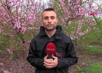 DEPREMDE EVİ YIKILAN ÇİFTÇİ, ŞEFTALİ ÜRETİMİNE DEVAM EDİYOR