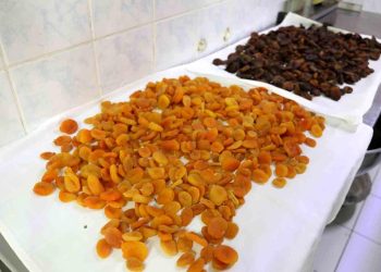 Depremzede üreticiden iftar sofrasına