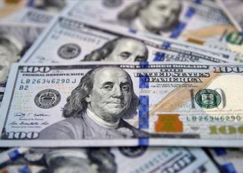 Dolardaki yükseliş sürüyor! Euro ise kan kaybediyor