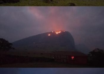 Dünya mirası 500 yıllık heykeller yangında onarılamaz hasar gördü