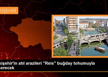 Eskişehir ekonomi haberleri | Eskişehir’in atıl arazileri “Reis” buğday tohumuyla yeşerecek
