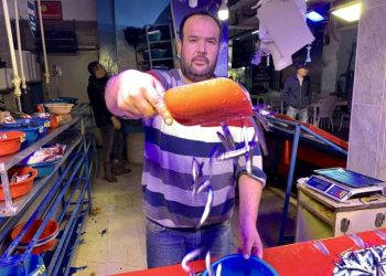 Hamsi, balık tezgâhlarını süsledi