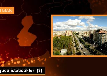 İş gücü istatistikleri (3)