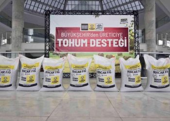 Konya gündem: Konya Büyükşehir Belediyesinden çiftçiye tohum desteği