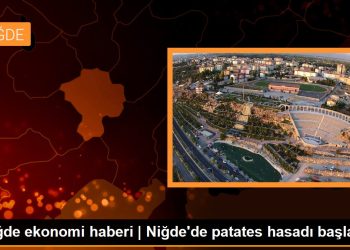 Niğde ekonomi haberi | Niğde’de patates hasadı başladı