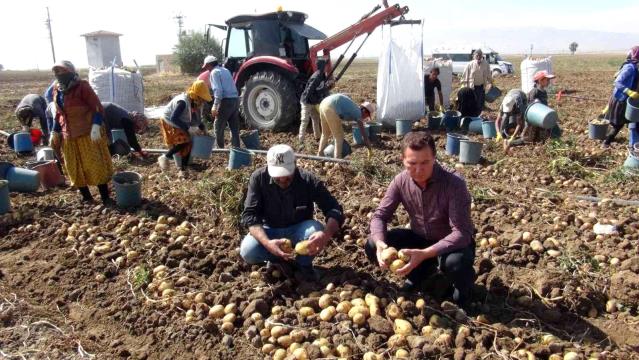NİĞDE’DE KIŞLIK PATATES HASADI BAŞLADI
