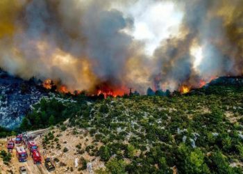 Orman yangını sanığı suçlamayı reddetti: Özlem’i etkilemek için ‘Benzini döke döke yaktım’ dedim