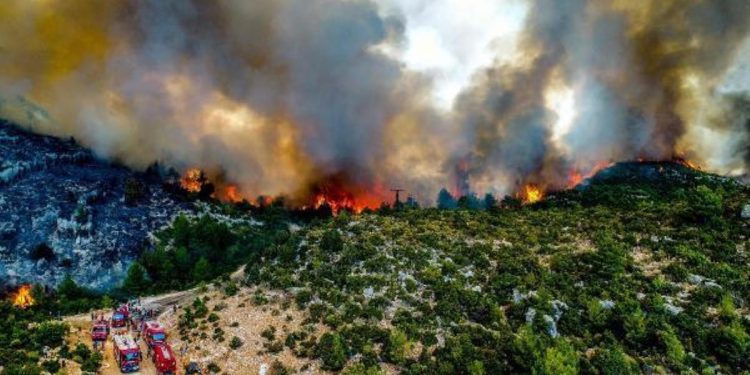 Orman yangını sanığı suçlamayı reddetti: Özlem’i etkilemek için ‘Benzini döke döke yaktım’ dedim