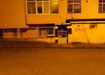 Polis kontrolünde ‘Çocuklarımı cennete gönderdim’ dedi, evde 2 çocuğu ölü bulundu
