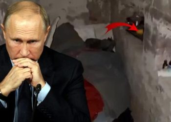 Rusya’nın Harkiv’deki işkence odalarında korkunç deliller! Altın dişler, elektrik kabloları, cinsel ilişki oyuncakları ve birçok delil bulundu