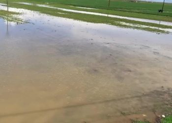 Şanlıurfa’da Sel Tarım Arazilerini de Vurdu… Hilvan Ziraat Odası Başkanı İpar: “Bu Bölgede Çiftçiye Pozitif Ayrımcılık Yapılması Şart Oldu”