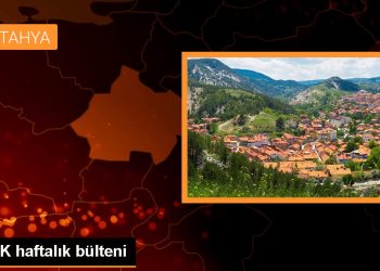 SPK haftalık bülteni