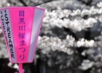 Tokyo’da Kiraz Çiçekleri Açtı