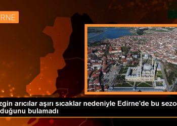 Edirne’ye gelen gezgin arıcılar, aşırı sıcaklar ve kuraklık nedeniyle beklediği verimi alamadı
