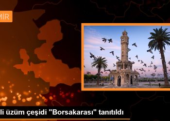 İzmir Ticaret Borsası ve Manisa Bağcılık Araştırma Enstitüsü işbirliğiyle ‘Borsakarası’ üzümü tanıtıldı