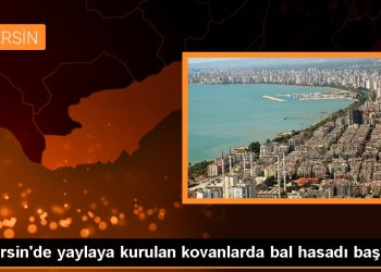 Mersin Erdemli’de arıcılar yaylada bal sağımı yapıyor