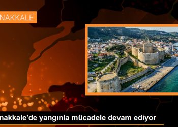 Çanakkale’de yangınla mücadele devam ediyor