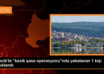 Bilecik’te yakalanan şüphelilerden biri tutuklandı