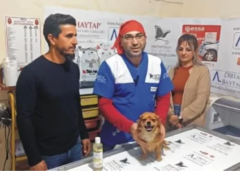 Depremzede Köpek Şila Tedavi Edildi