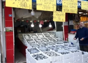 Rize’de Hamsi Fiyatları Düştü, Esnaf Dövizlerle Duyurdu