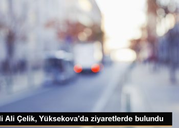 Hakkari Valisi Ali Çelik, Yüksekova’da Ziyaretlerde Bulundu