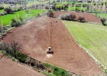 Tarımsal Girdi Fiyat Endeksi Yıllık Yüzde 41,33 Arttı